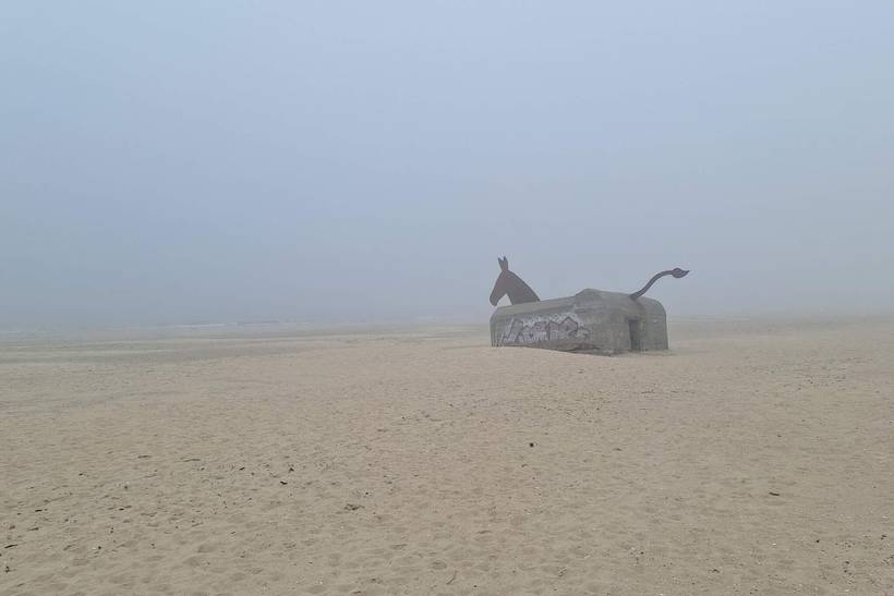 Foto von Ferienhaus HD33 in Blåvand - Westjütland