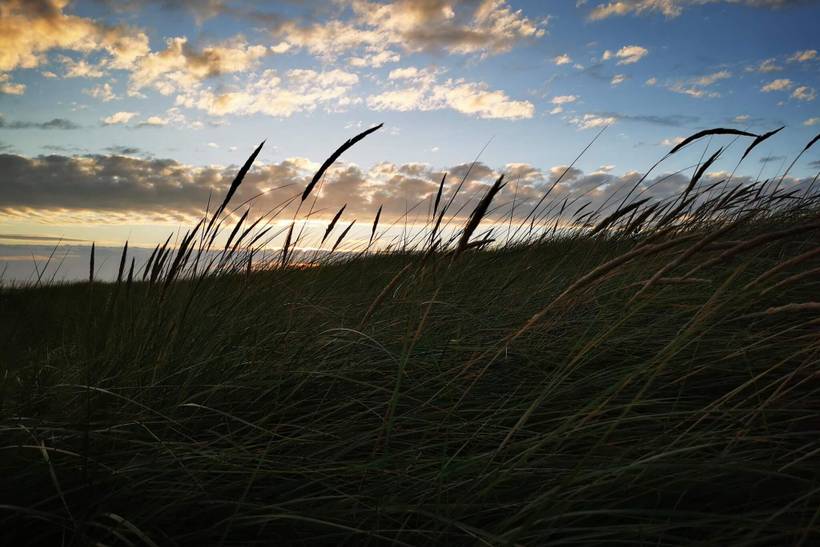 Foto von Ferienhaus HD33 in Blåvand - Westjütland