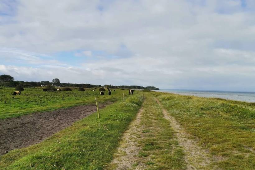 Foto von Ferienhaus HD76 in Købingsmark - Als