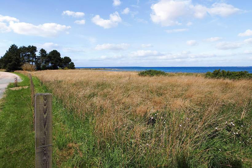 Foto von Ferienhaus HD99 auf Reersø - Westseeland