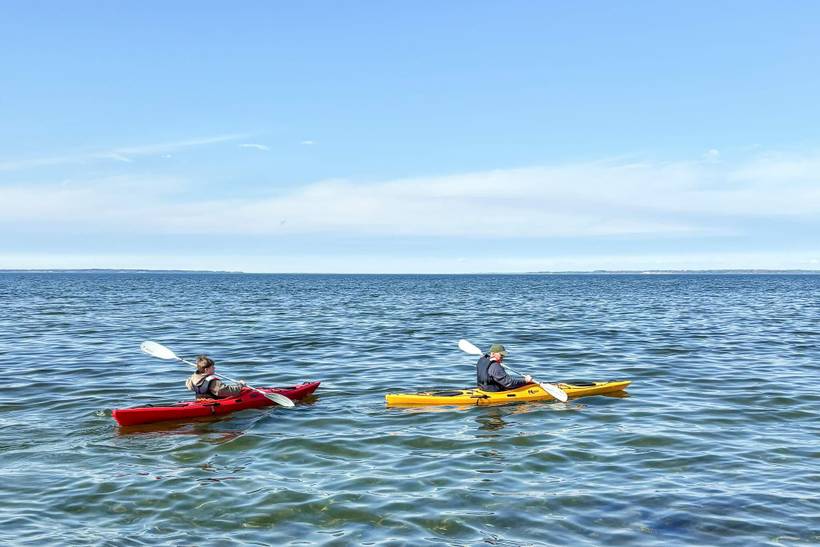 Foto von Ferienhaus HE26 in Handbjerg - Thy/Limfjord