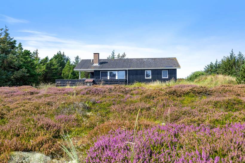 Foto von Ferienhaus HE95 in Bjerregård - Westjütland