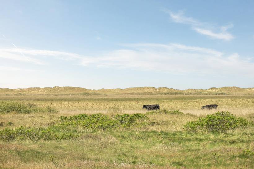 Foto von Ferienhaus HE96 in Lakolk - Rømø