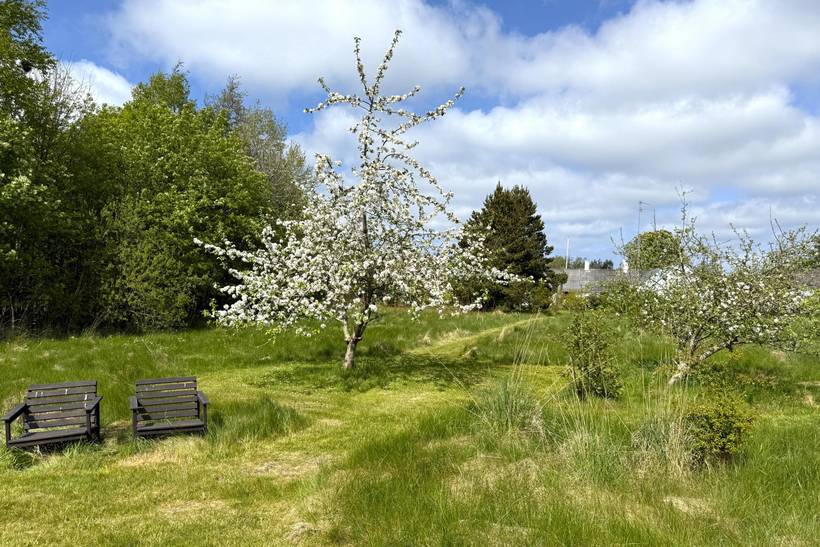 Foto von Ferienhaus HF37 in Vesterø - Læsø