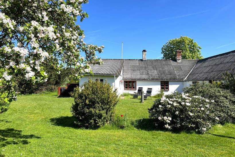 Foto von Ferienhaus HF37 in Vesterø - Læsø