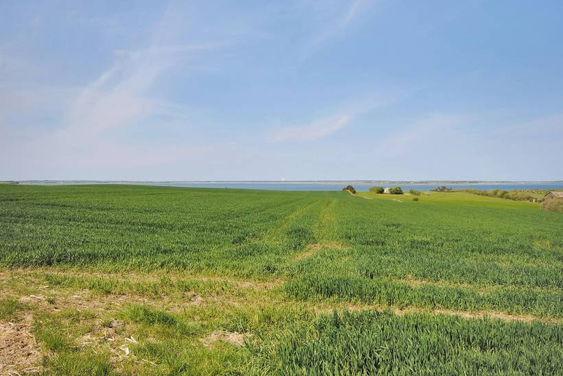 Foto von Ferienhaus HF43 auf Ejerslev - Mors - Thy/Limfjord