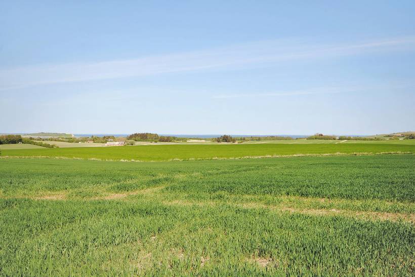 Foto von Ferienhaus HF43 auf Ejerslev - Mors - Thy/Limfjord