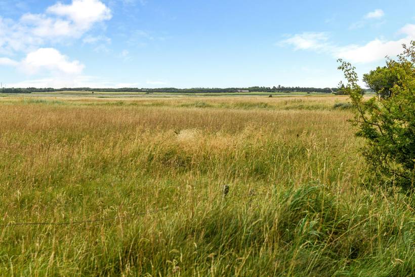 Foto von Ferienhaus HF75 in Mosevrå - Blåvand - Westjütland