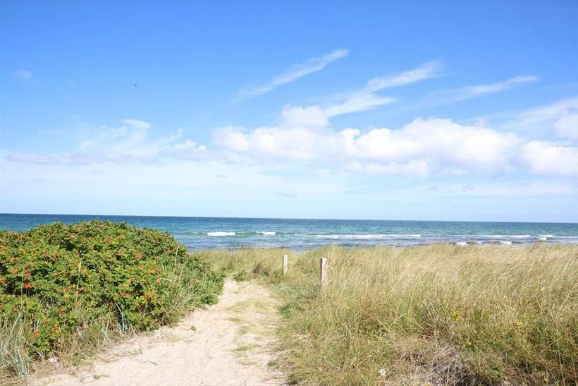 Foto von Ferienhaus HF76 in Nordstrand - Rørvig - Westseeland