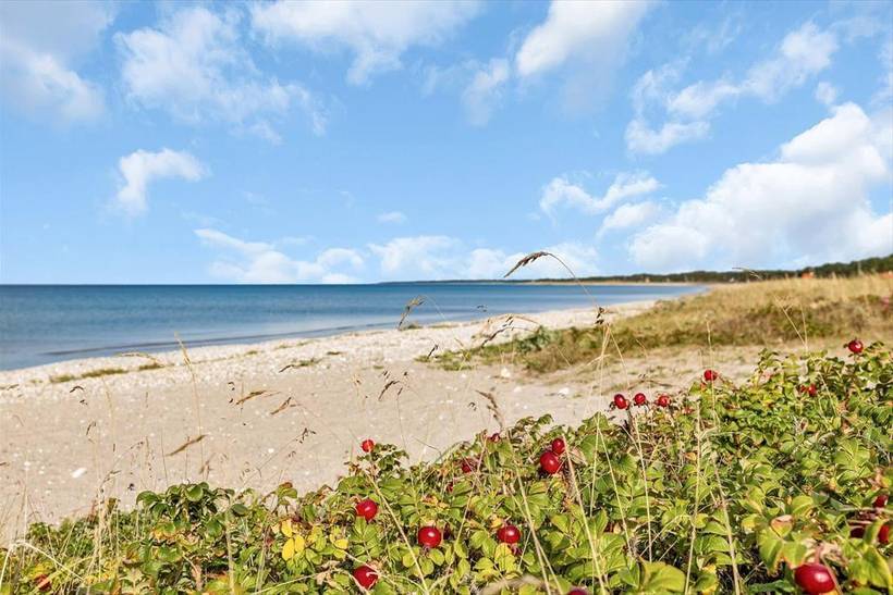 Foto von Ferienhaus HF76 in Nordstrand - Rørvig - Westseeland