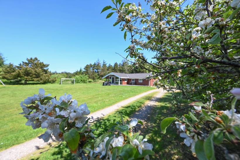 Foto von Ferienhaus HF81 in Fjand - Westjütland