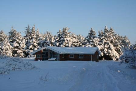Foto von Ferienhaus HF81 in Fjand - Westjütland