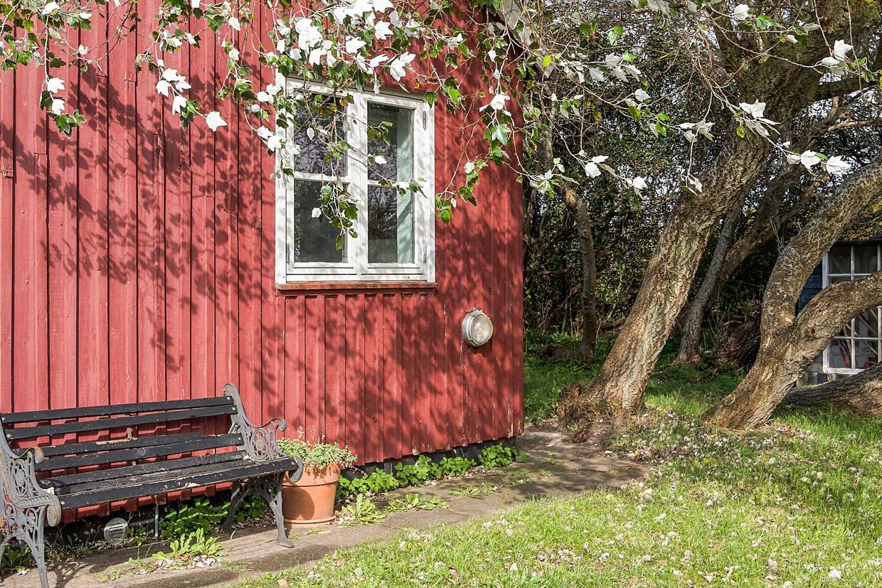 Foto von Ferienhaus HF82 in Bjerge - Westseeland