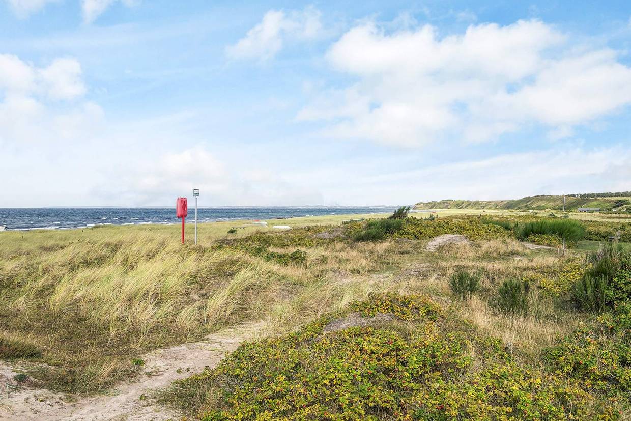 Foto von Ferienhaus HF82 in Bjerge - Westseeland