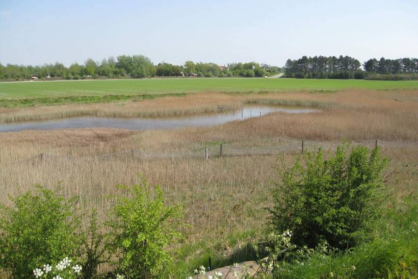 Foto von Ferienhaus HH45 auf Stødby - Lolland