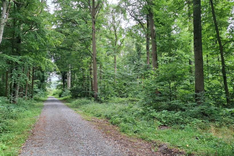Foto von Ferienhaus HH45 auf Stødby - Lolland