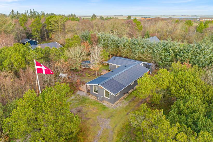 Foto von Ferienhaus HJ06 in Lodbjerg Hede - Søndervig - Westjütland