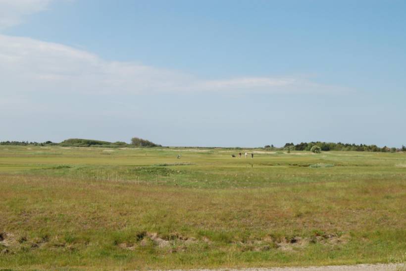 Foto von Ferienhaus HJ71 in Havneby - Rømø