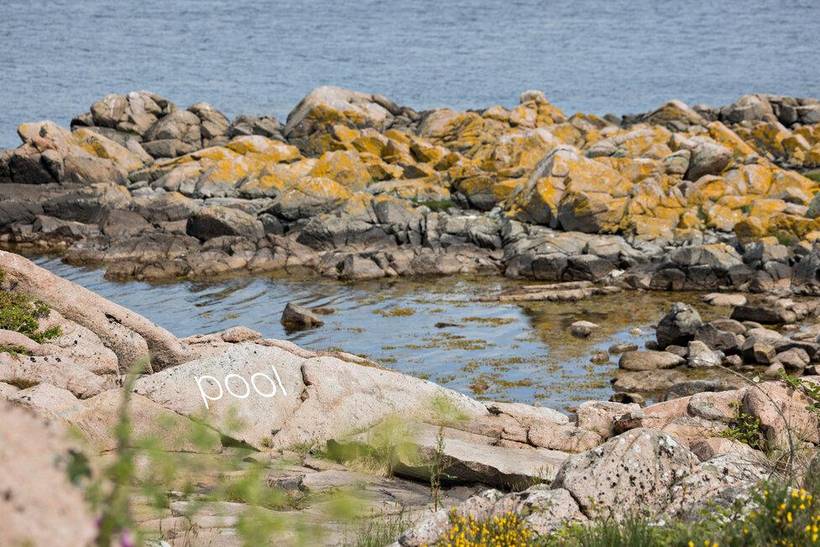 Foto von Ferienhaus HK57 in Allinge - Sandvig - Bornholm