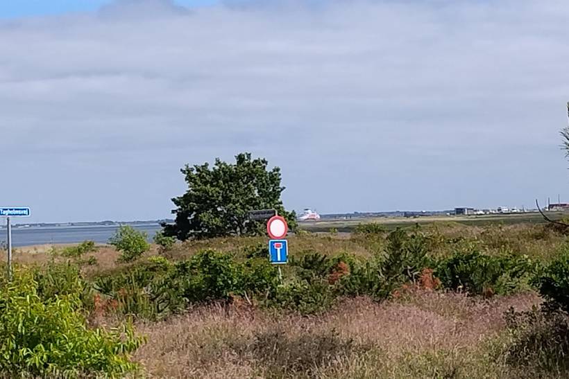 Foto von Ferienhaus HL52 in Kromose - Rømø