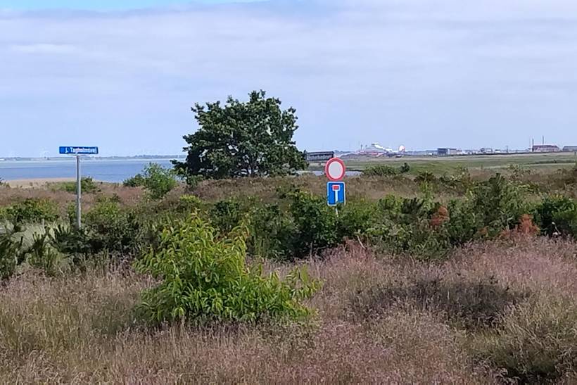Foto von Ferienhaus HL52 in Kromose - Rømø