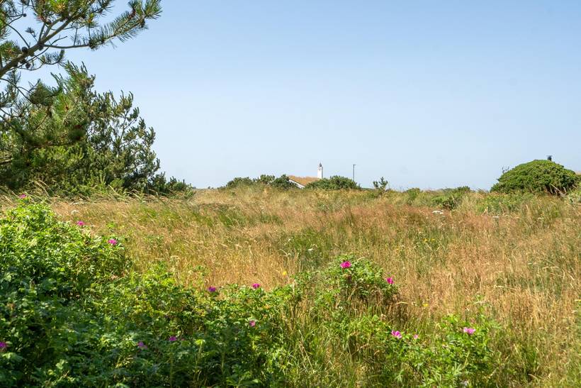 Foto von Ferienhaus HM25 in Blåvand - Westjütland