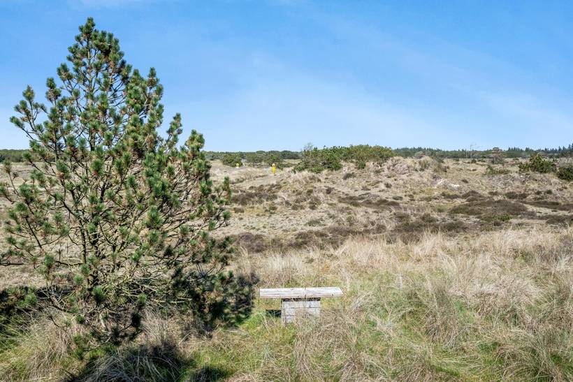 Foto von Ferienhaus HM51 in Blåvand - Westjütland