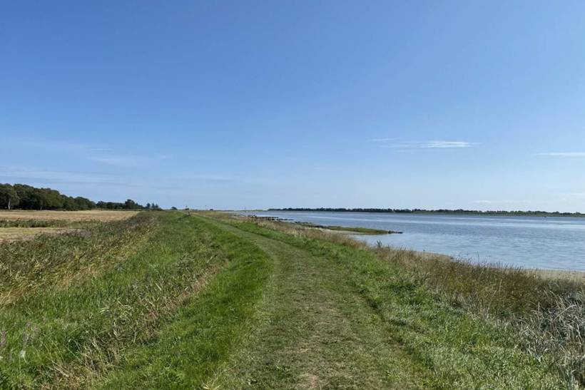 Foto von Ferienhaus HM52 in Als Odde - Helberskov - Nordjütland Ost