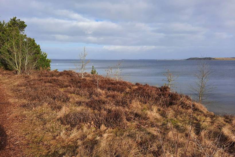 Foto von Ferienhaus HN07 in Virksund - Thy/Limfjord