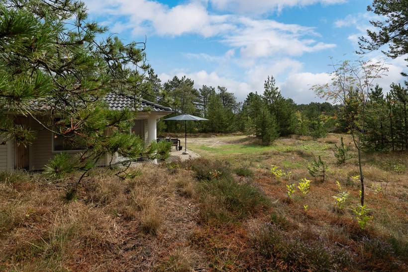 Foto von Ferienhaus HN23 in Kongsmark - Rømø