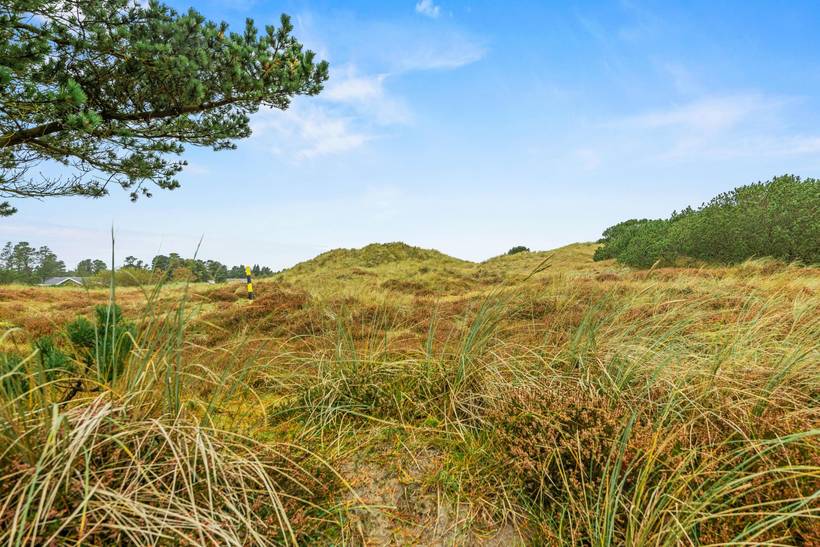 Foto von Ferienhaus HN37 in Blåvand - Westjütland