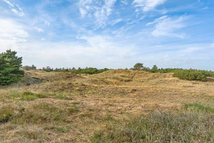Foto von Ferienhaus HN44 in Blåvand - Westjütland