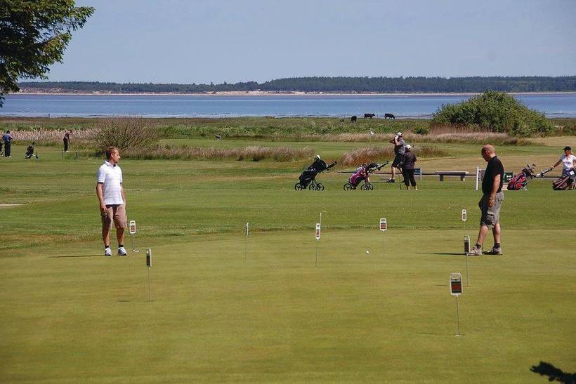 Foto von Ferienhaus HN44 in Blåvand - Westjütland