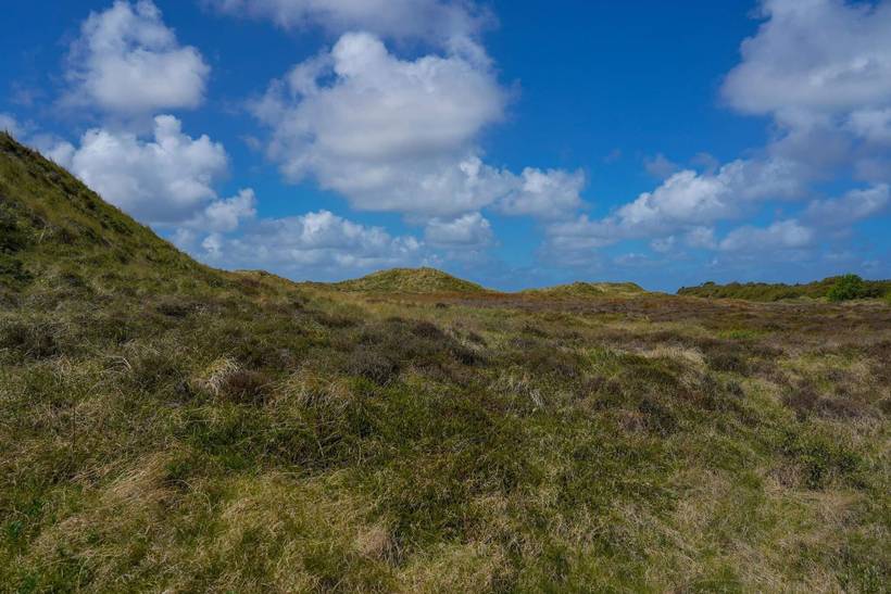 Foto von Ferienhaus HO07 in Havneby - Rømø