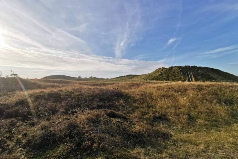 Foto von Ferienhaus HO07 in Havneby - Rømø