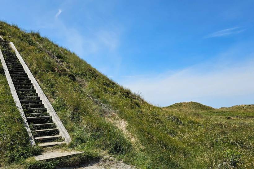 Foto von Ferienhaus HO07 in Havneby - Rømø