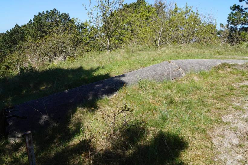 Foto von Ferienhaus HO07 in Havneby - Rømø