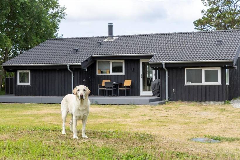 Foto von Ferienhaus HO16 in Ebeltoft - Ostjütland