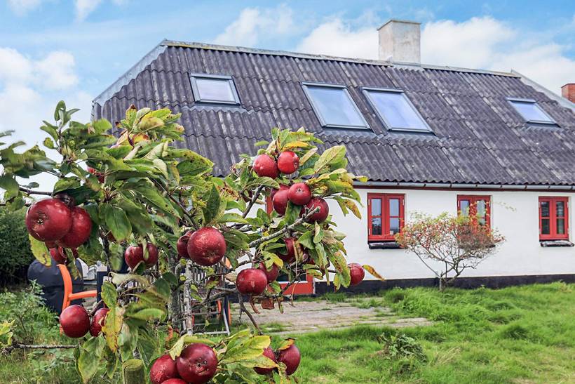 Foto von Ferienhaus HO43 in Amtoft - Thy/Limfjord