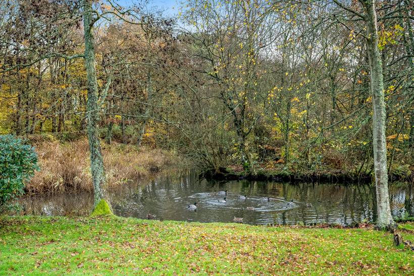 Foto von Ferienhaus HO52 in Ringkøbing - Westjütland