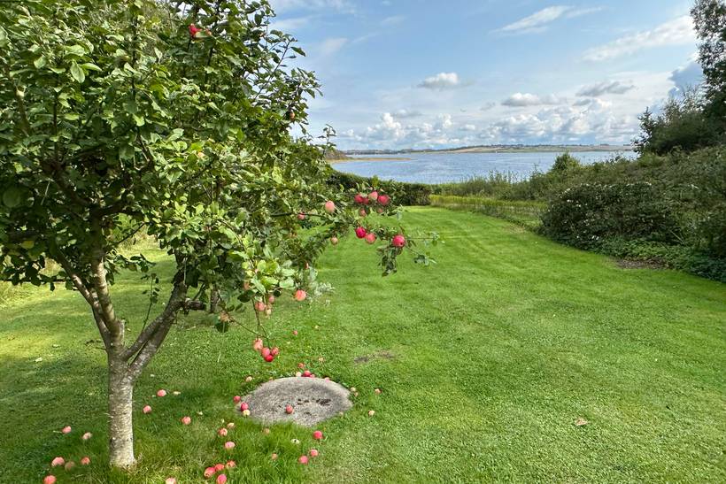 Foto von Ferienhaus HP21 in Vile - Thy/Limfjord