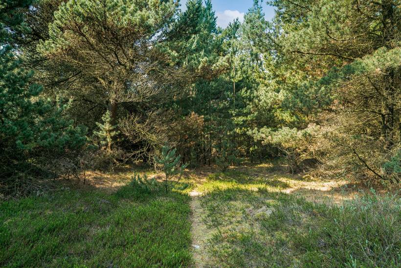 Foto von Ferienhaus HP24 in Sønderstrand - Rømø