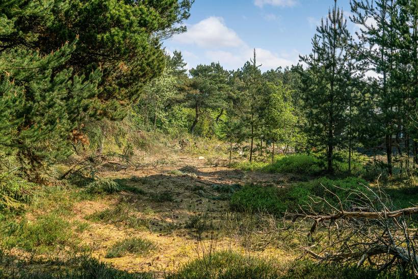 Foto von Ferienhaus HP24 in Sønderstrand - Rømø