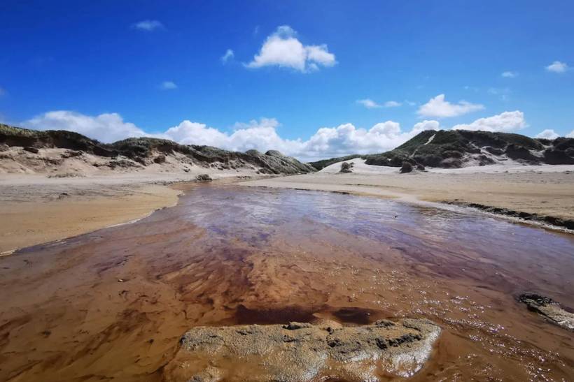 Foto von Ferienhaus HP90 in Slettestrand - Nordjütland