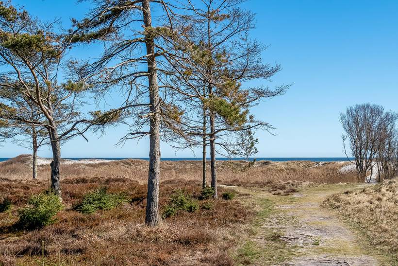 Foto von Ferienhaus HQ50 in Bisnap - Hou - Nordjütland Ost