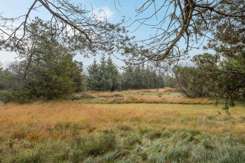 Foto von Ferienhaus HR19 in Vejers Strand - Westjütland