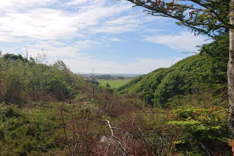 Foto von Ferienhaus HR66 in Slettestrand - Nordjütland