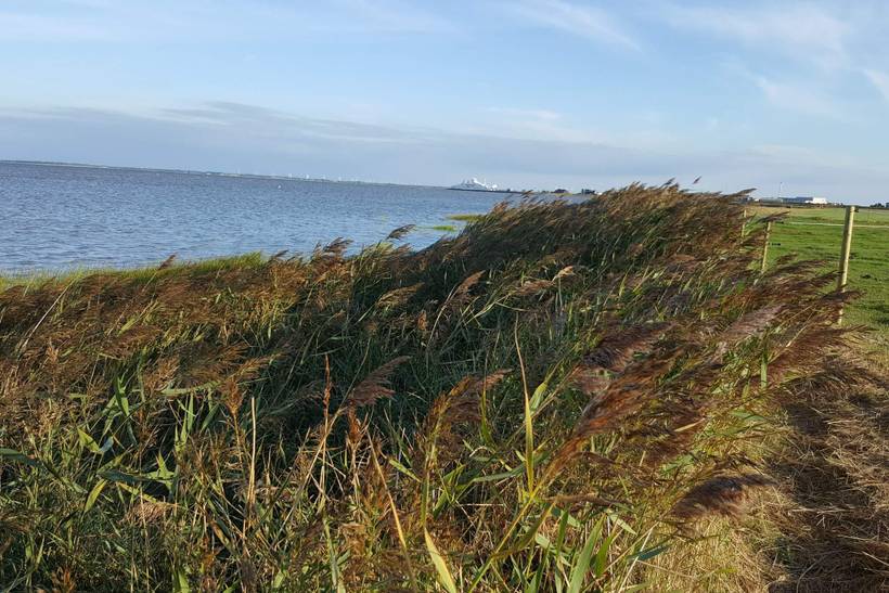 Foto von Ferienhaus HS56 in Havneby - Rømø