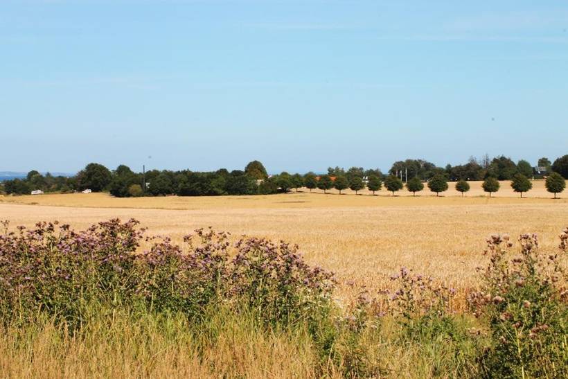 Foto von Ferienhaus HT16 in Saksild - Odder - Ostjütland