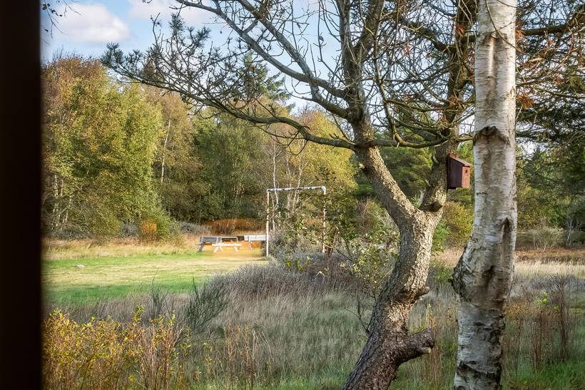 Foto von Ferienhaus HT37 in Blokhus - Nordjütland